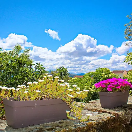 Vila Casa De Cotas